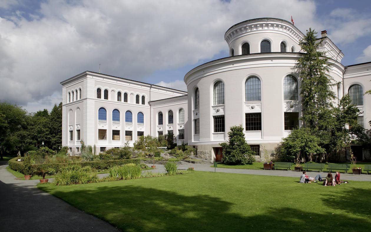University Of Bergen