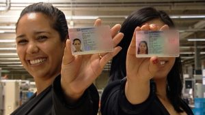 بلوکارت اروپا